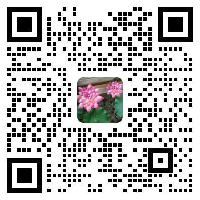 售后与技术指导